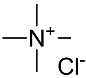 四甲基氯化铵|Tetramethyl Ammonium Chloride|75-57-0