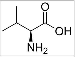 L-缬氨酸/L-2-氨基-3-甲基丁酸|L-Valine|72-18-4|Greagent|CP