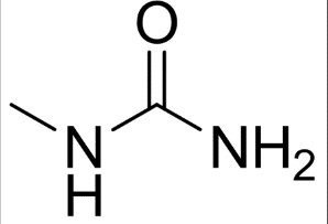 甲基脲|Methylurea|598-50-5