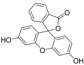 荧光素|Fluorescein|2321-07-5